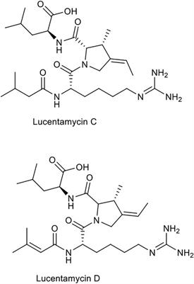 Natural Products from Actinobacteria as a Potential Source of New Therapies Against Colorectal Cancer: A Review